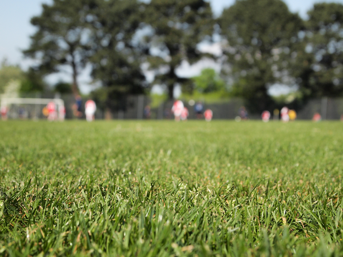 Replay Maintenance: Leading the Field with YFM's Backing